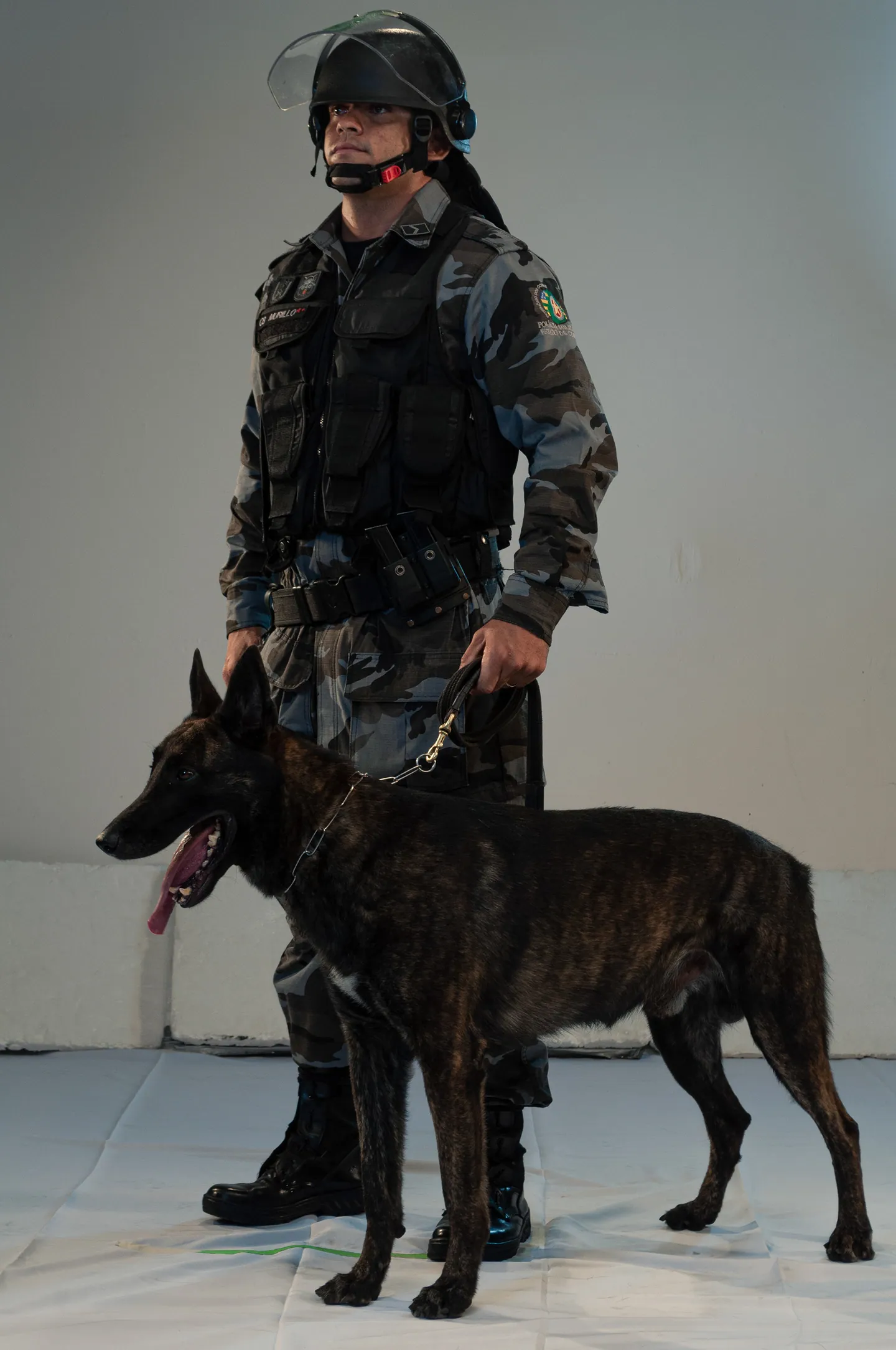 Peça 8 de Segurança Pública